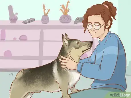 Image titled Convince Your Boyfriend to Get a Dog Step 10