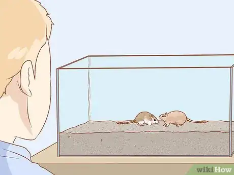 Image titled Split Cage a Gerbil Step 10