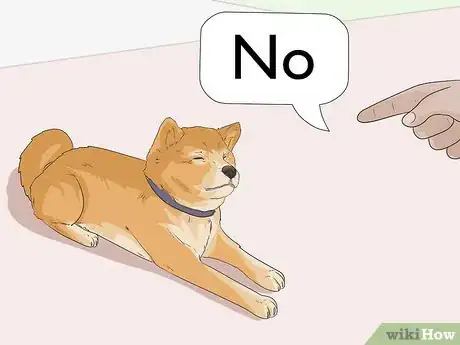 Image titled Train a Shiba Inu Step 19