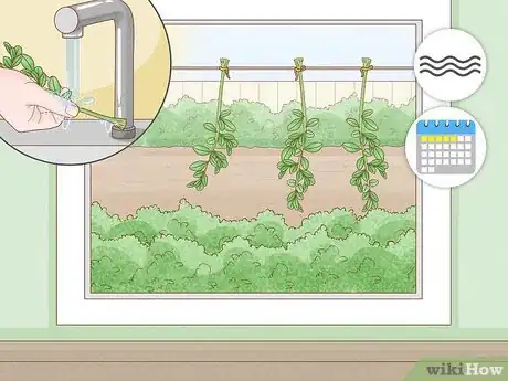 Image titled Preserve Boxwood Cuttings Step 10