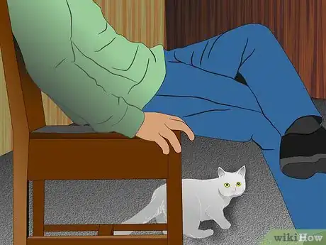 Image titled Care for Physically Abused Cats Step 11