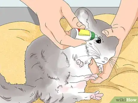 Image titled Treat Eye Irritations in Chinchillas Step 7