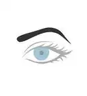 Draw an Eyebrow