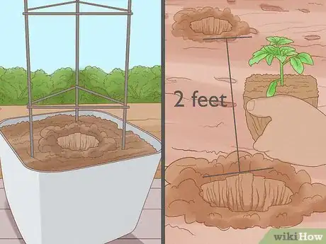 Image titled Grow Cherry Tomatoes Step 11