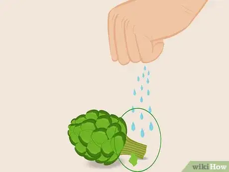 Image titled Select and Store Artichokes Step 5