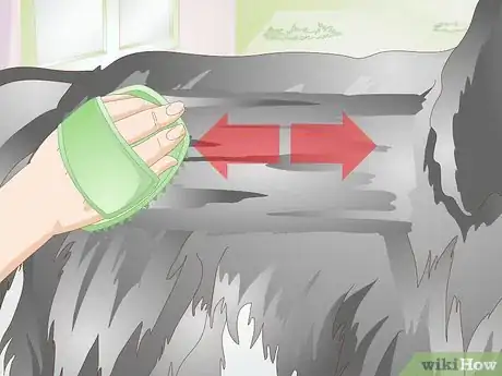 Image titled Brush Your Dog Step 5