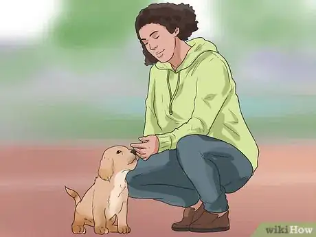 Image titled Train Your Dog to Not Run Away Step 4