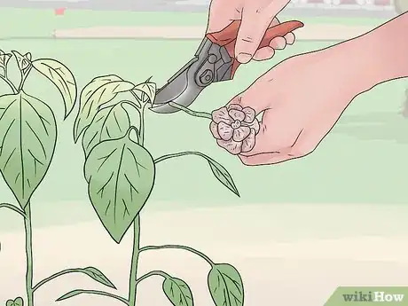 Image titled Take Care of Plants Step 10