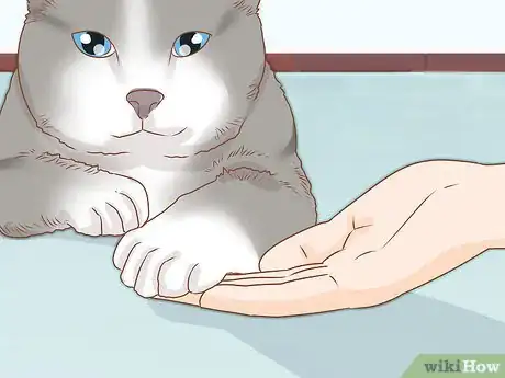 Image titled Trim Your Cat's Nails Step 2