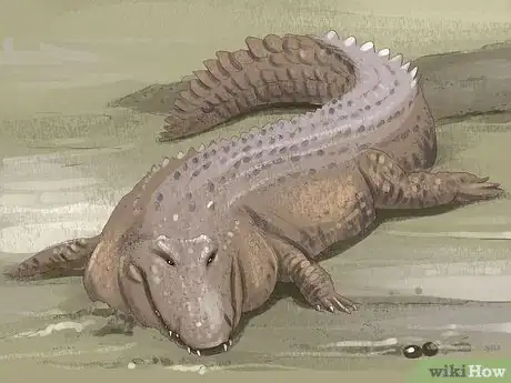 Image titled Tell the Difference Between a Crocodile and an Alligator Step 6