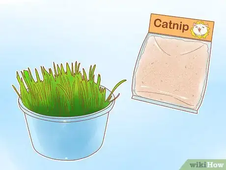 Image titled Prevent Cats from Eating Plants Step 14