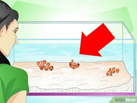 Image titled Tell if Your Fish Is Sick Step 1