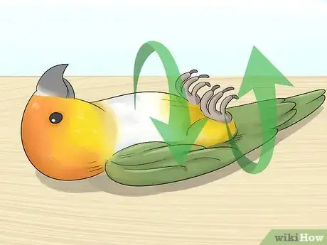 Image titled Know if a Caique Parrot Is Right for You Step 10