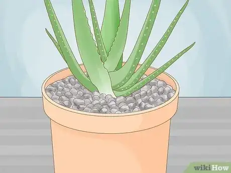 Image titled Care for Your Aloe Vera Plant Step 11