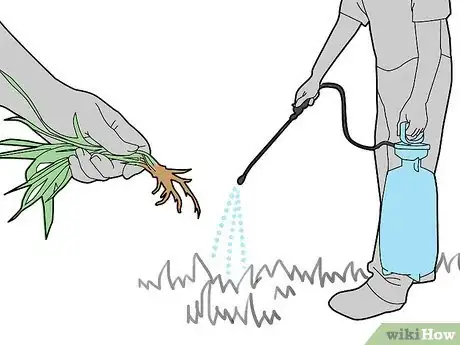 Image titled Water Your Lawn Efficiently Step 7