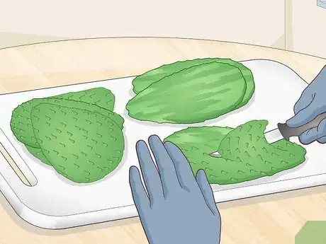 Image titled Cook Cactus Step 1