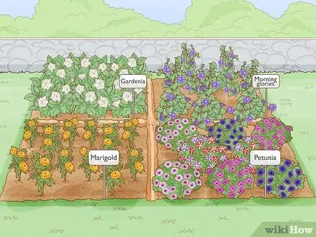 Image titled Grow Flowers from Seed Step 3