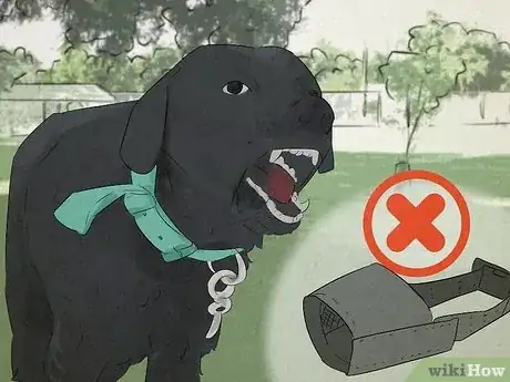 Image titled Why Do Dogs Bark at Nothing Step 16