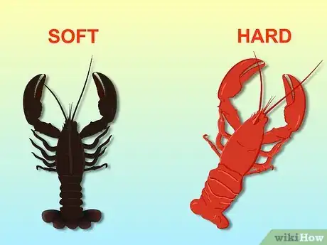 Image titled Eat Lobster Step 1