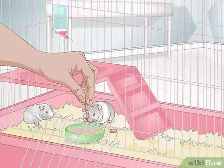 Image titled Care For a Mother Hamster and Her Babies Step 8