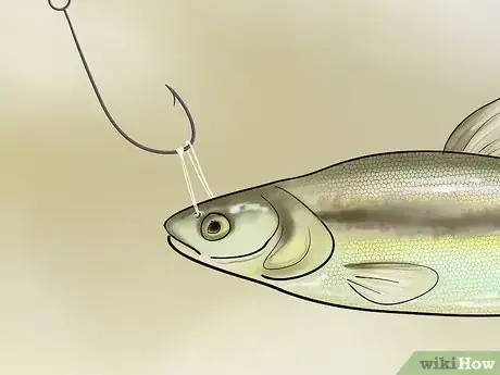 Image titled Bait a Fishing Hook Step 24