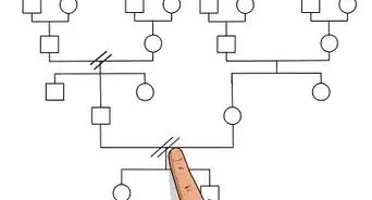 Make a Genogram