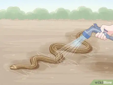 Image titled Get Rid of Snakes Step 7