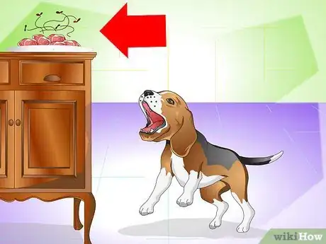 Image titled Cure a Dog's Stomach Ache Step 15