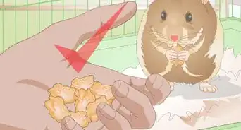 Make Hamster Chew Sticks