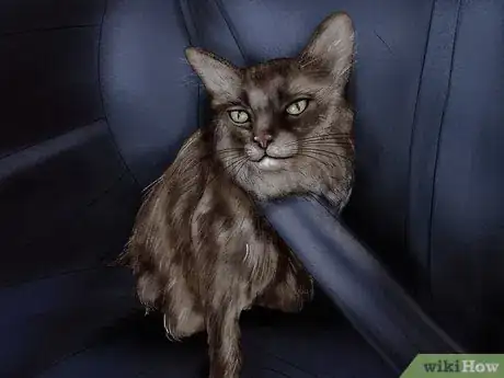 Image titled Deal with Car Sickness in Cats Step 4