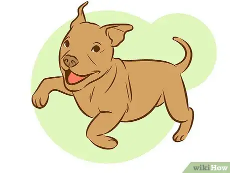 Image titled Train a Pitbull Puppy Step 8