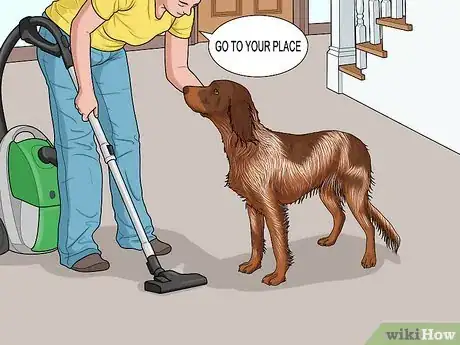 Image titled Keep a Dog from Chasing the Vacuum Cleaner Step 6