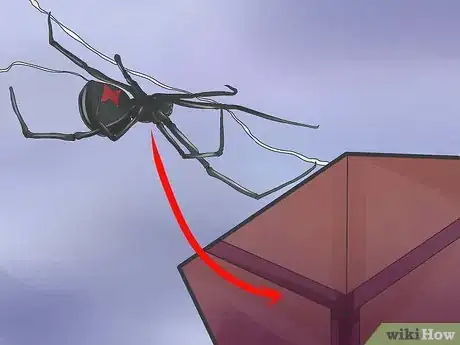 Image titled Get Rid of Black Widow Spiders Step 2