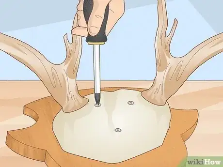 Image titled Mount Antlers Step 11