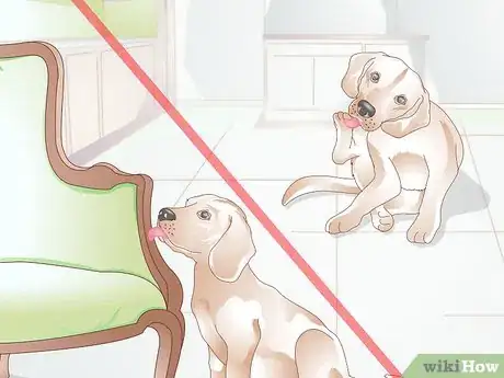 Image titled Stop a Dog from Licking Everything Step 17