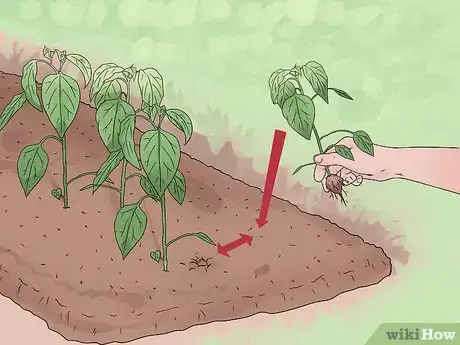 Image titled Take Care of Plants Step 13