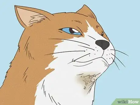 Image titled Treat Feline Acne Step 8