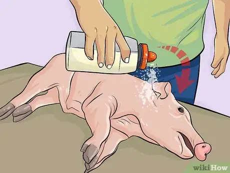 Image titled Cook a Whole Pig Step 7