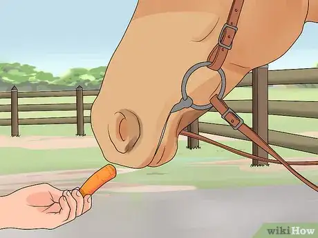 Image titled Feed a Horse Carrots Step 1