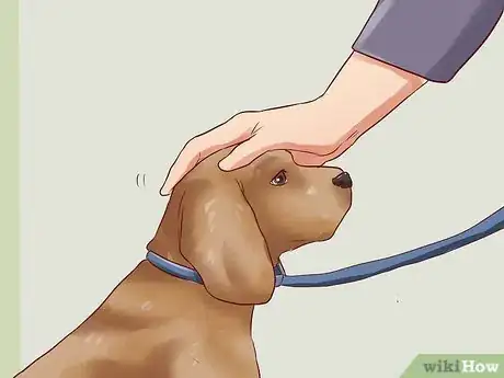 Image titled Teach Your Dog Basic Commands Step 23