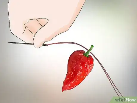 Image titled Dry Ghost Peppers Step 15