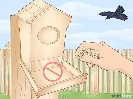 Image titled Get Rid of Grackles Step 12