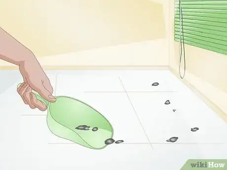 Image titled Clean up After Your Guinea Pig Step 9