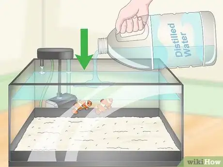 Image titled Raise the Salinity in a Reef Tank Step 12