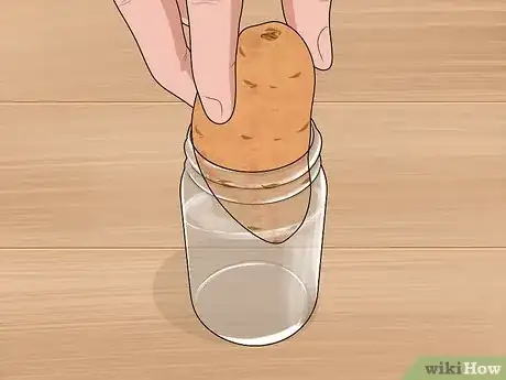 Image titled Grow Sweet Potatoes in Containers Step 3