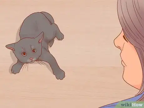 Image titled Know if Your Cat Is Afraid of Something Step 4