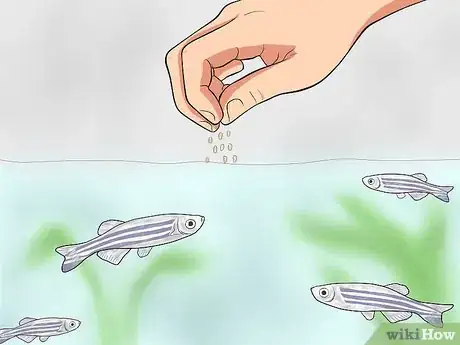 Image titled Care for Zebra Danios Step 9