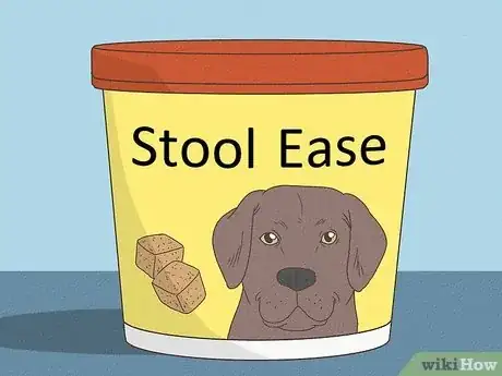 Image titled Heal Dog Prolapse at Home Step 19