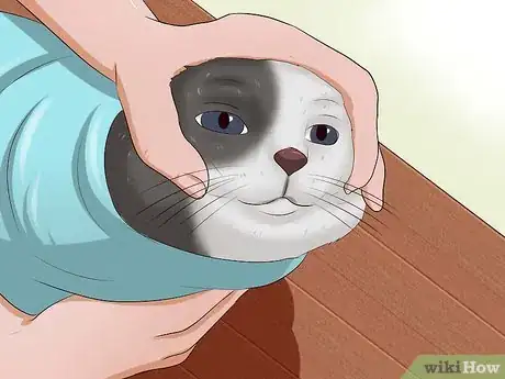 Image titled Give a Cat a Pill Step 13