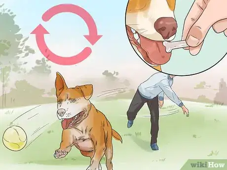 Image titled Deal with Your Annoying Dog Step 4